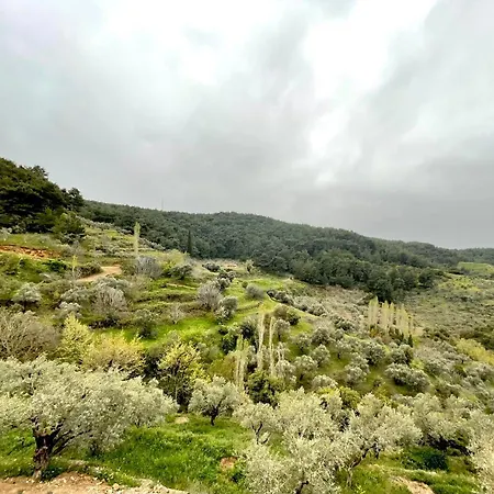 فندق Ephesus Retreat إزمير